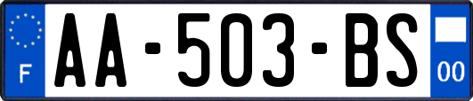 AA-503-BS