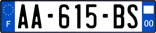 AA-615-BS