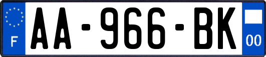 AA-966-BK