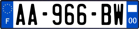 AA-966-BW