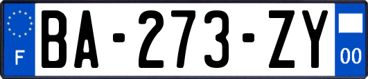 BA-273-ZY