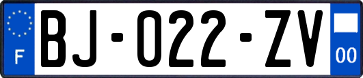 BJ-022-ZV