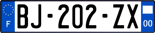 BJ-202-ZX