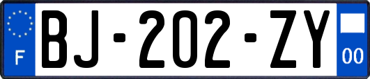 BJ-202-ZY