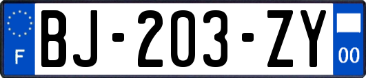 BJ-203-ZY