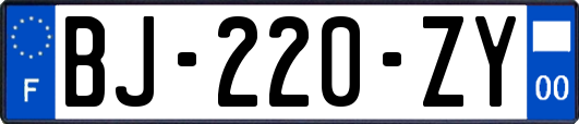 BJ-220-ZY