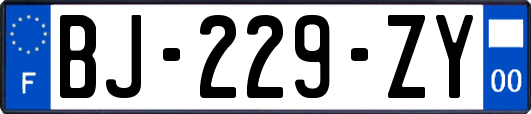 BJ-229-ZY