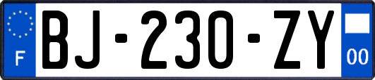 BJ-230-ZY
