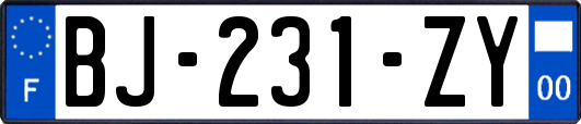 BJ-231-ZY