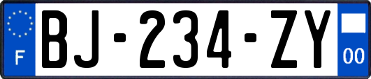 BJ-234-ZY