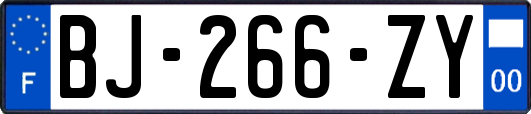 BJ-266-ZY
