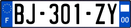 BJ-301-ZY