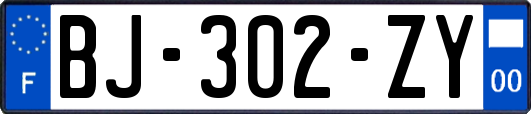 BJ-302-ZY