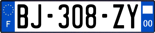 BJ-308-ZY
