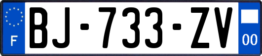 BJ-733-ZV