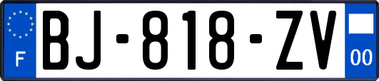 BJ-818-ZV