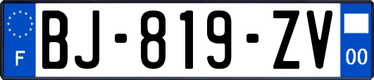 BJ-819-ZV