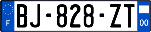 BJ-828-ZT