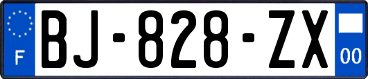 BJ-828-ZX