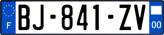 BJ-841-ZV