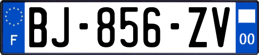 BJ-856-ZV