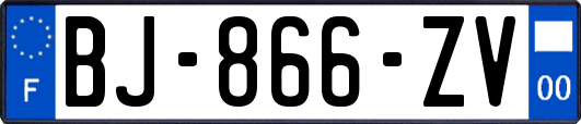 BJ-866-ZV