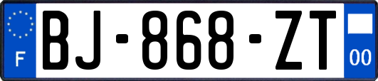 BJ-868-ZT