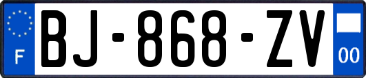 BJ-868-ZV