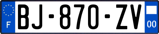 BJ-870-ZV