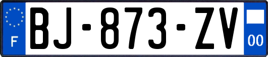 BJ-873-ZV