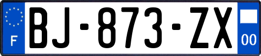 BJ-873-ZX