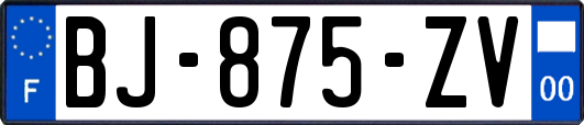 BJ-875-ZV