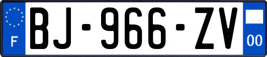 BJ-966-ZV