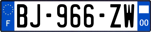 BJ-966-ZW