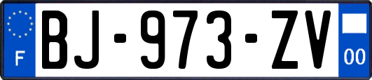 BJ-973-ZV
