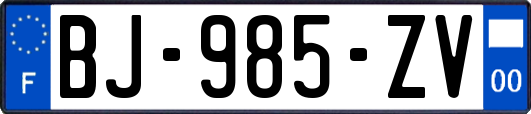 BJ-985-ZV