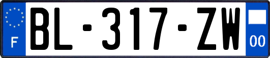 BL-317-ZW