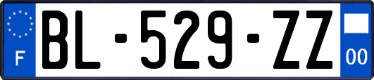 BL-529-ZZ
