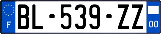 BL-539-ZZ