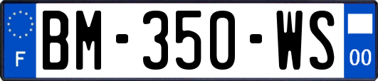 BM-350-WS