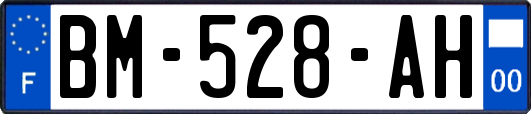 BM-528-AH