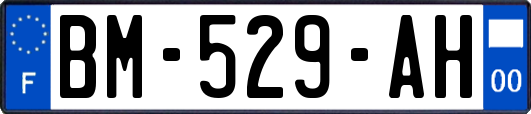 BM-529-AH