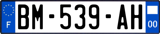 BM-539-AH