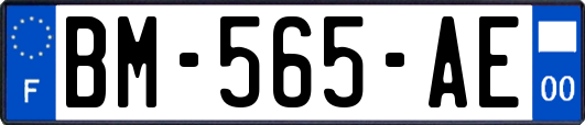 BM-565-AE