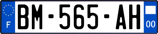 BM-565-AH