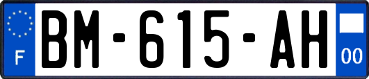BM-615-AH