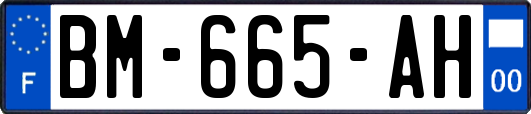 BM-665-AH