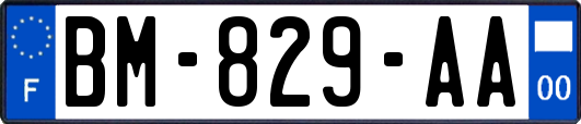 BM-829-AA
