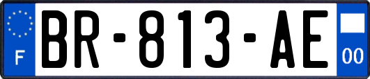 BR-813-AE