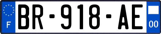 BR-918-AE